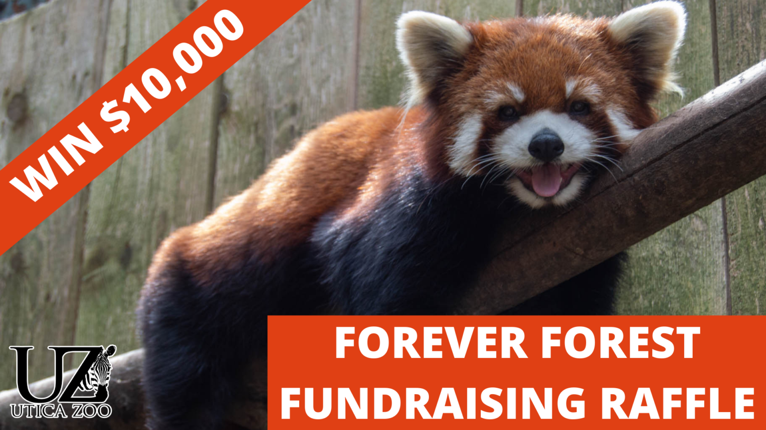 Utica Zoo Offers Chance to Win 10,000! Utica Zoo