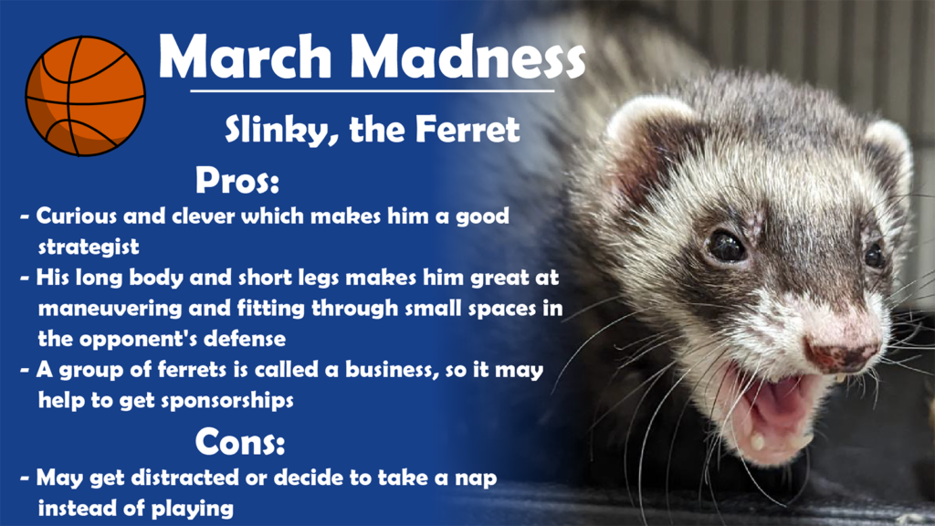 March Madness 2022 Utica Zoo