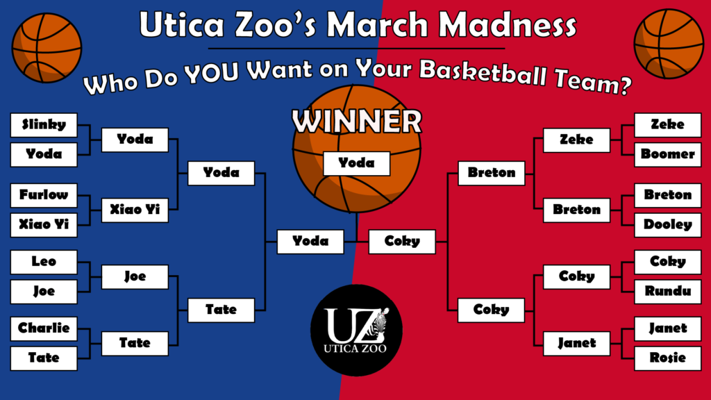 March Madness 2022 Utica Zoo