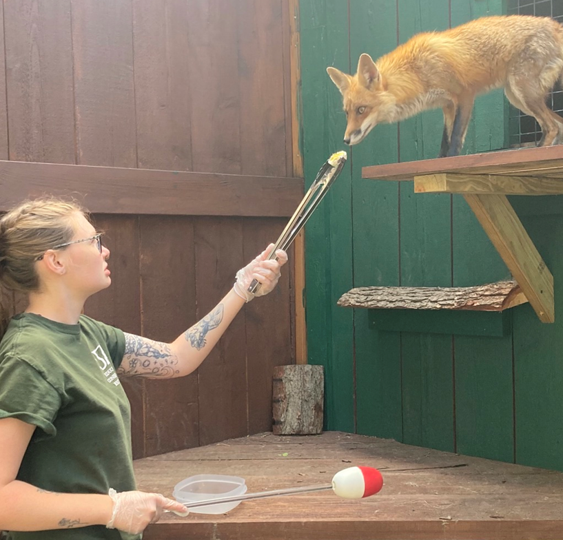 AZA Accreditation Utica Zoo