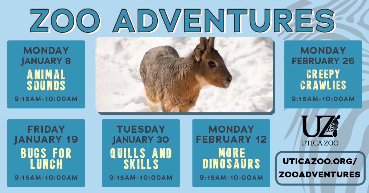 Zoo Adventures 2023 Winter – Utica Zoo
